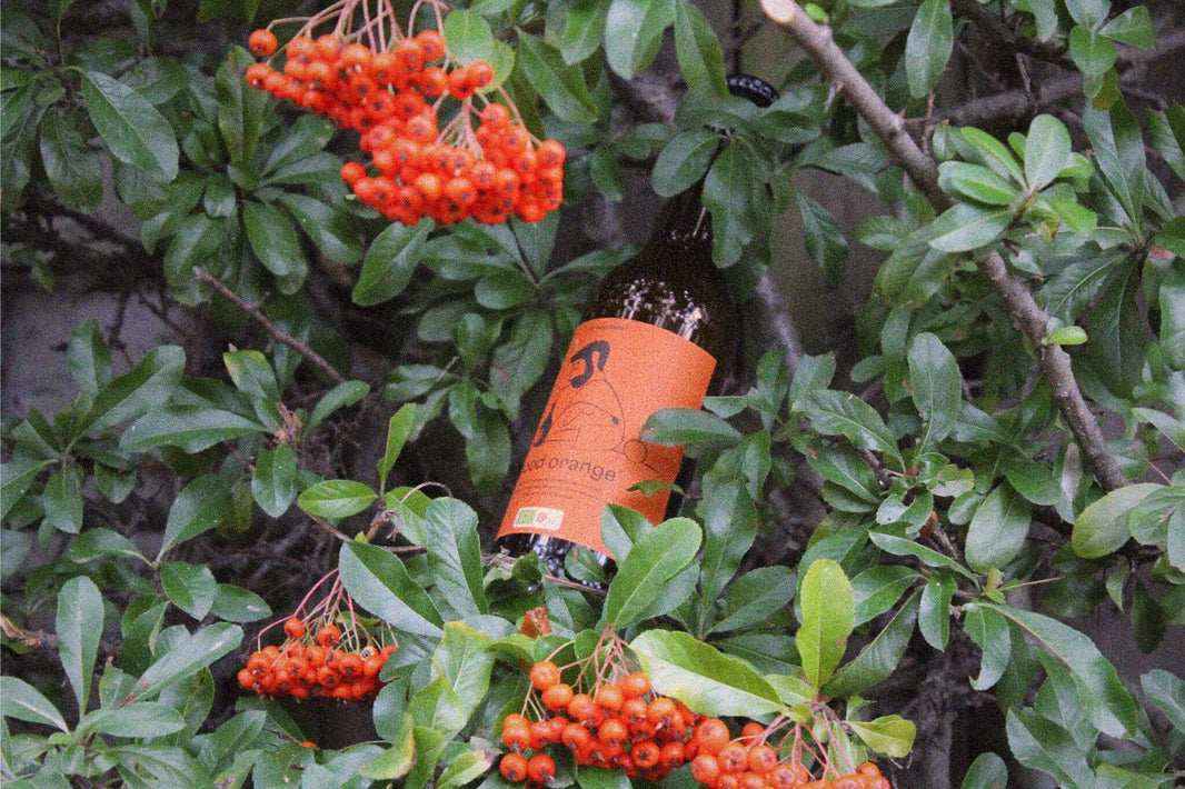 Natural vs Artificial Flavours in Soda: Why We're Keeping it Real