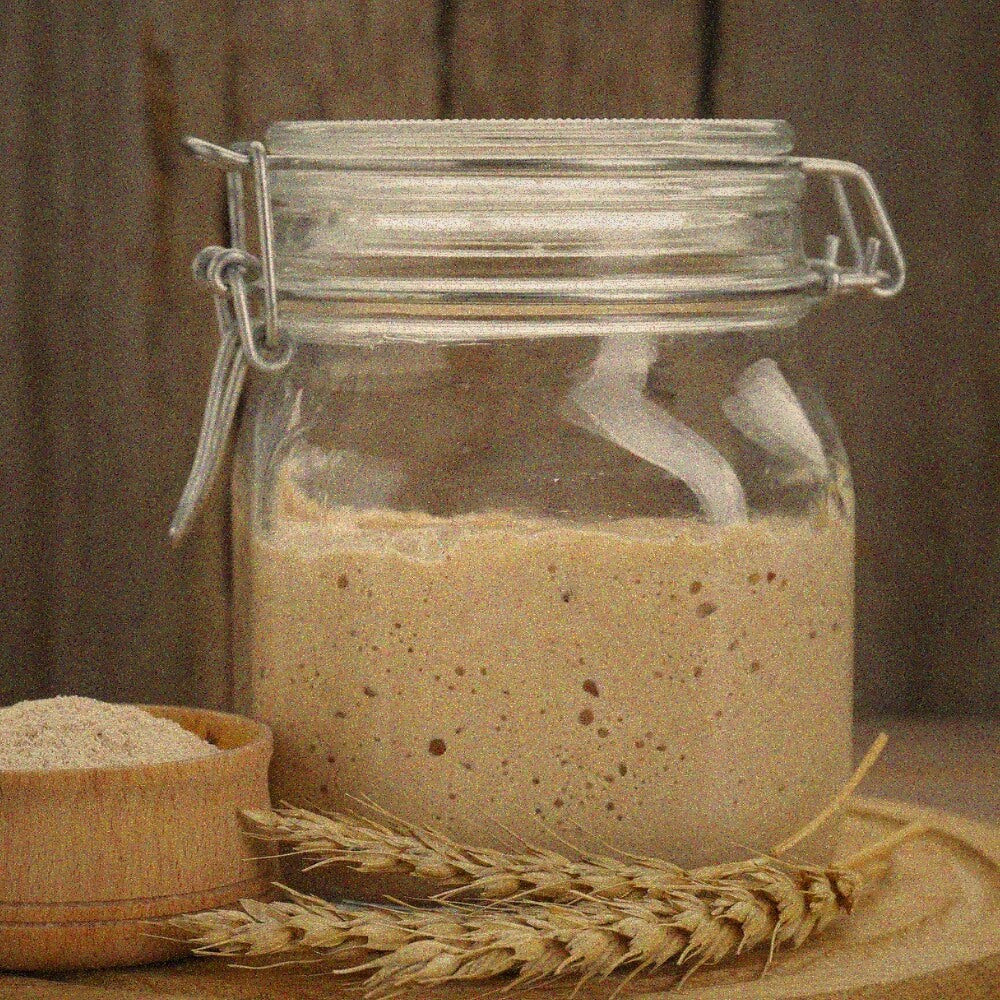 Sourdough starter fermenting in a jar 