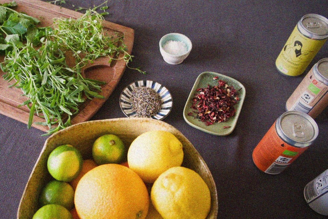 Flat lay of ingredients for organic soda garnishes