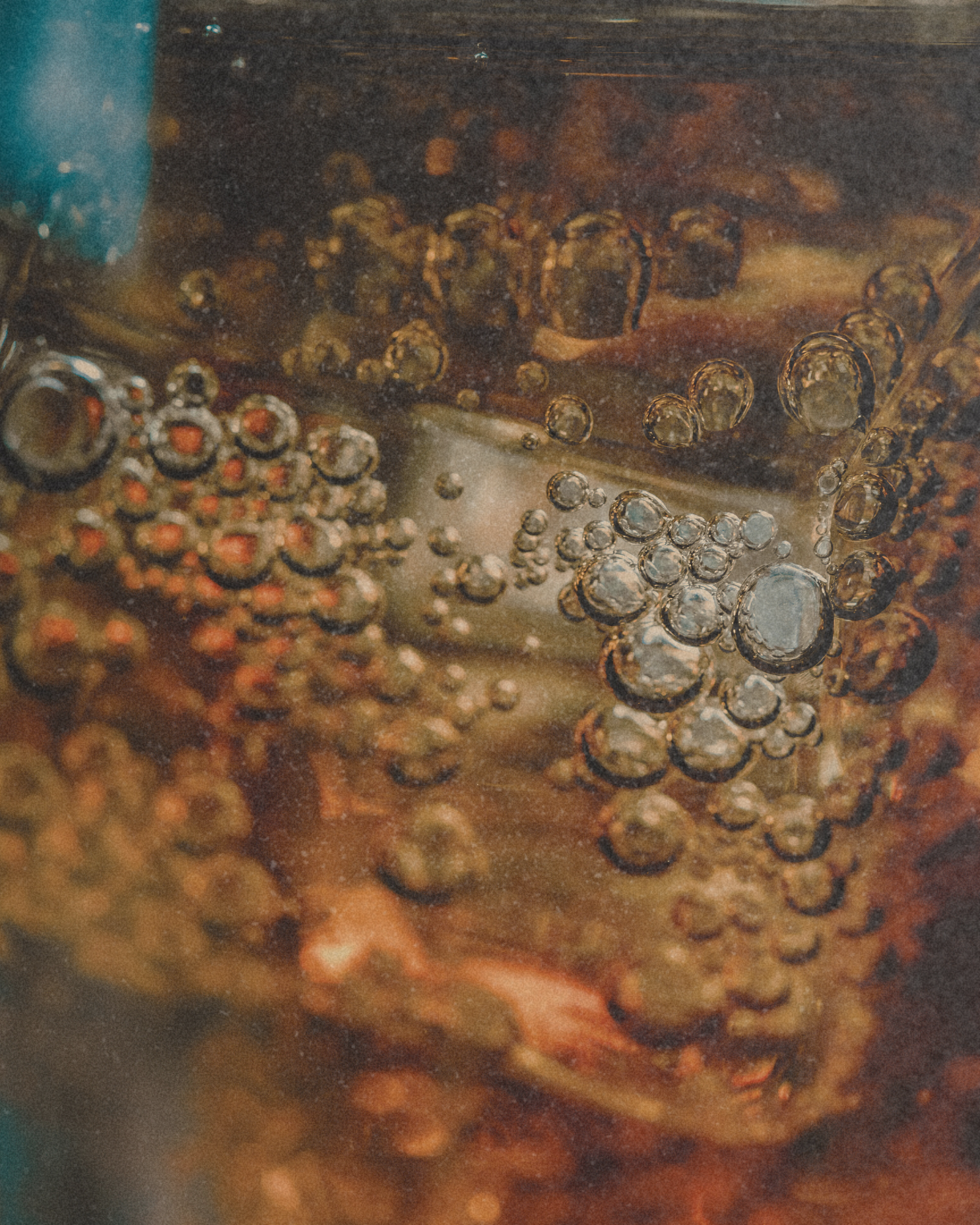 Fermentation bubbles 